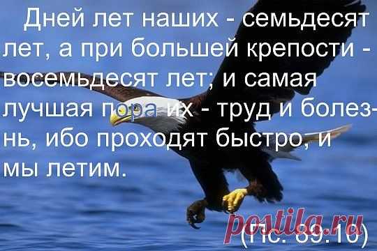 религия,святые,православные праздники | Записи в рубрике религия,святые,православные праздники | Дневник Ванда