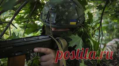 Мирошник заявил о многочисленных фактах казней ВСУ мирных жителей. Посол МИД России по особым поручениям по преступлениям киевского режима Родион Мирошник заявил о многочисленных казнях ВСУ мирных жителей при отступлении. Читать далее