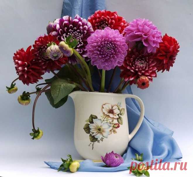 Семь скрытых функций компьютерной мыши.
