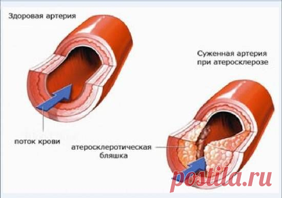 Пост «Наука. Kрупнейшая афера XX века» в блоге ТрейдерS KOSMOS