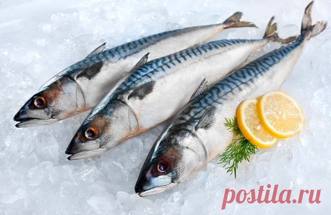 Рыбы, в которых меньше всего костей Многие люди любят есть рыбу и рыбные блюда, но, согласитесь, мало кому нравится вытаскивать мелкие кости изо рта. Плюс, это неэстетично.
Отсутствие костей...