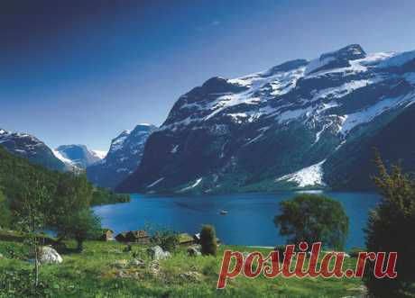 Lovatnet - Поиск в Google