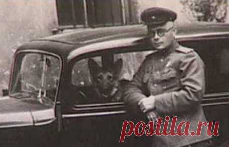 14 июля 1945 года , Штутгарт. Николай Павленко приводит в исполнение приговор трем своим подчиненным. Расстрел военнослужащих за мародерство в то время обычное дело, но главное в другом – сам Павленко уже 3 года в розыске за дезертирство.