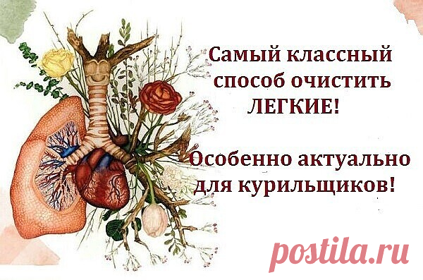 Самый классный способ очистить легкие!

Вот что вам понадобится:

- 1 небольшой кусочек корня имбиря; 
- 2 чайные ложки куркумы; 
- 1 литр воды; 
- 400 г чеснока (очищенного, и порезанного на дольки); 
- 400 г сахара (может быть обычным, но в идеале — коричневый). 

Что делать: 

Нагрейте воду в кастрюле. Когда она закипит, добавьте в нее сахар, чеснок, имбирь и куркумы. 
Сахар добавляйте последним. 
Варите смесь на медленном огне до тех пор, пока не выкипит половина воды....