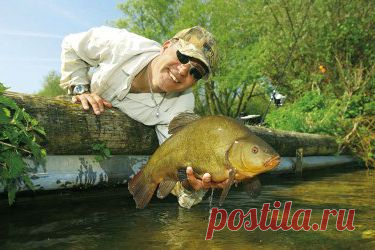Линь: на что ловить? Секреты ловли линя - FB.ru