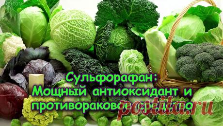 Сульфорафан_мощный_антиоксидант_и_противораковое_средство Народная медицина — рецепты, советы, способы, cекреты и народные средства.