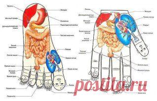 Быстрый массаж на все случаи жизни:

Самые активные точки на теле человека в картинках. Всего несколько картинок, которые Вы легко можете запомнить, или сохранить для себя, чтобы, если понадобится, - быстро воспользоваться. Для себя или для кого-то другого.
Метод массажа - надавливания или растирание.