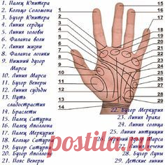 (48) Pinterest