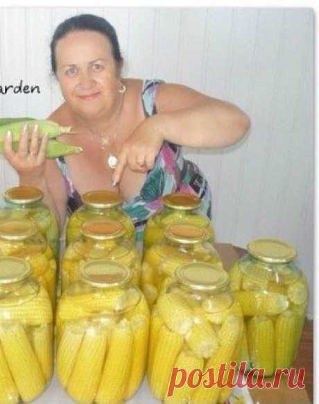 Кукуруза маринованная
Молодые, очищенные початки уложить в 3-х литр. банку. Туда же всыпать - 1стол. ложку соли, 150г. сахара, 2стол. ложки 9% уксуса, 1таблетку аспирина. Залить всё кипятком и стерелизовать 1 час. Закатать. Укутать