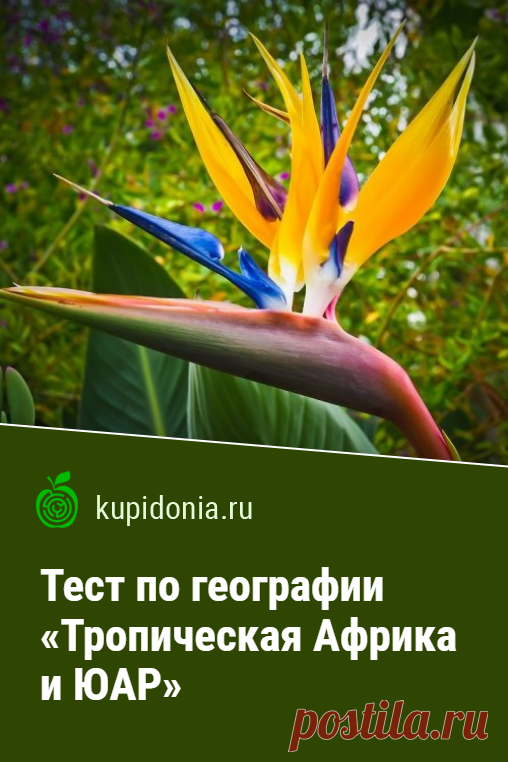 Тест по географии «Тропическая Африка и ЮАР». Проверочный географический тест об Африке. Школьная программа. Проверьте свои знания!