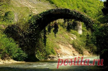 (36) Нина Панова