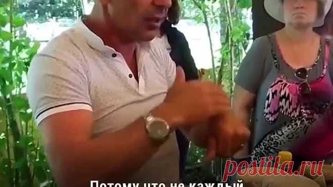 Как отличить натурaльный мёд от подделки