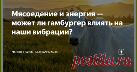 Мясоедение и энергия — может ли гамбургер влиять на наши вибрации? Употребление мяса в больших количествах не только вредно для здоровья, но также влияет на энергетику. Современный человек не может представить себе обед без мяса! Без этого еда будет неполной. А знаете ли вы, что мясо уменьшает вибрацию тела и, в конечном счете, вибрацию души? Тот факт, что мы покупаем мясо, красиво упакованное, взвешенное и аккуратно поданное на подносе, не означает, что мы упустили из вид...