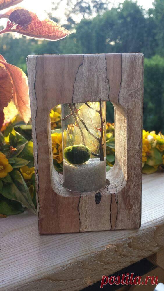 Миниатюрный аквариум как элемент декора ~ Planetalsad