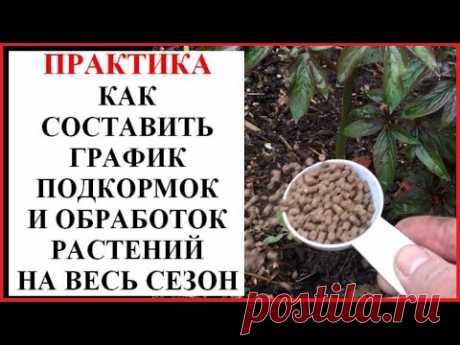 График садовых подкормок