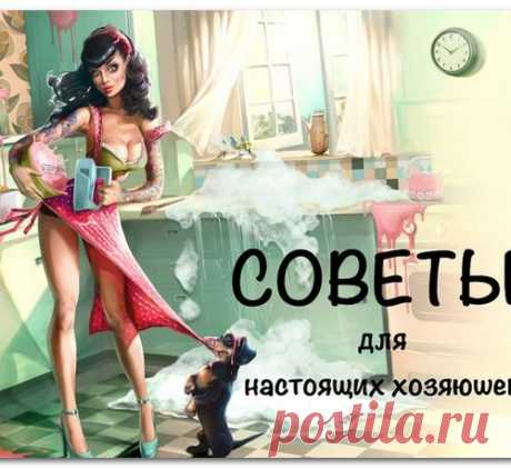 СОВЕТЫ ДЛЯ НАСТОЯЩИХ ХРАНИТЕЛЬНИЦ ДОМАШНЕГО ОЧАГА