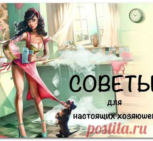 СОВЕТЫ ДЛЯ НАСТОЯЩИХ ХРАНИТЕЛЬНИЦ ДОМАШНЕГО ОЧАГА