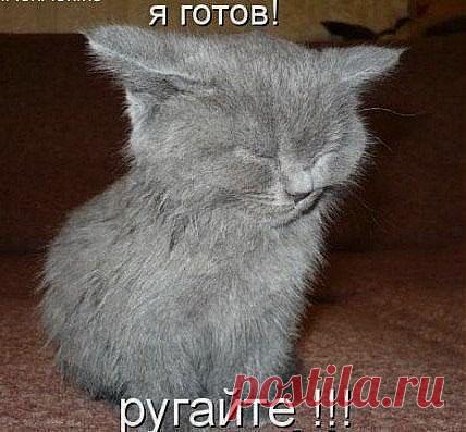 Уши заткнул... Глаза закрыл... Вид повинный принял.