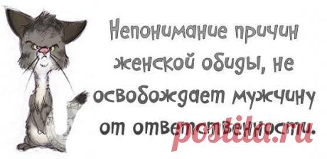 МИР ПОЗИТИВА