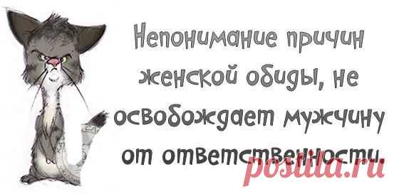 МИР ПОЗИТИВА