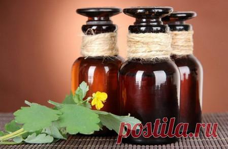 Как избавиться от папилломы народными средствами - Советы Народной Мудрости - медиаплатформа МирТесен