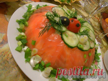 Цукотто из семги (рецепт с фото) | RUtxt.ru