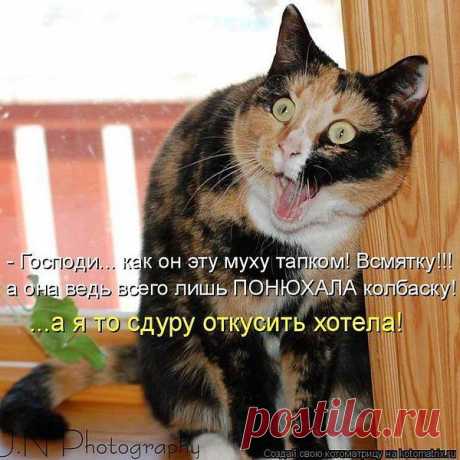 Интересные новости