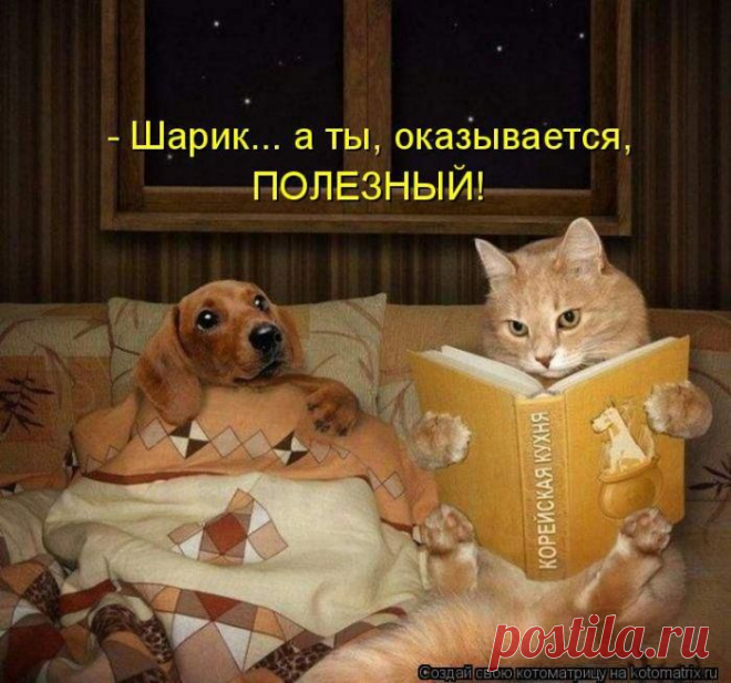 Мысли вслух