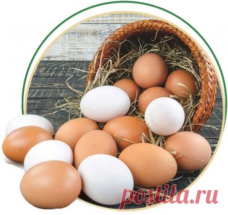 ЕСЛИ ВЫ ЗАБОЛЕЛИ. ВОЗЬМИТЕ КУРИНОЕ ЯЙЦО И ПРИГОТОВЬТЕ ЛЕКАРСТВО
 
О курином яйце сказано довольно много. Но оно таит в себе еще много секретов. Из куриного яйца, оказывается, можно приготовить много лекарств в домашних условиях. 
 
1. Средство от кашля. 
Перемешать 2 ст. ложки качественного сливочного масла, 2 свежих яичных куриных желтка, 1 ч. ложку пшеничной муки и 2 ч. ложки натурального мёда. Принимайте внутрь по 1 ч. ложке 3-4 раза в день. 
2. От термических ожогов. 
...