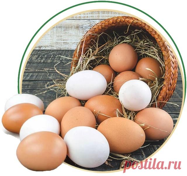 ЕСЛИ ВЫ ЗАБОЛЕЛИ. ВОЗЬМИТЕ КУРИНОЕ ЯЙЦО И ПРИГОТОВЬТЕ ЛЕКАРСТВО
 
О курином яйце сказано довольно много. Но оно таит в себе еще много секретов. Из куриного яйца, оказывается, можно приготовить много лекарств в домашних условиях. 
 
1. Средство от кашля. 
Перемешать 2 ст. ложки качественного сливочного масла, 2 свежих яичных куриных желтка, 1 ч. ложку пшеничной муки и 2 ч. ложки натурального мёда. Принимайте внутрь по 1 ч. ложке 3-4 раза в день. 
2. От термических ожогов. 
...