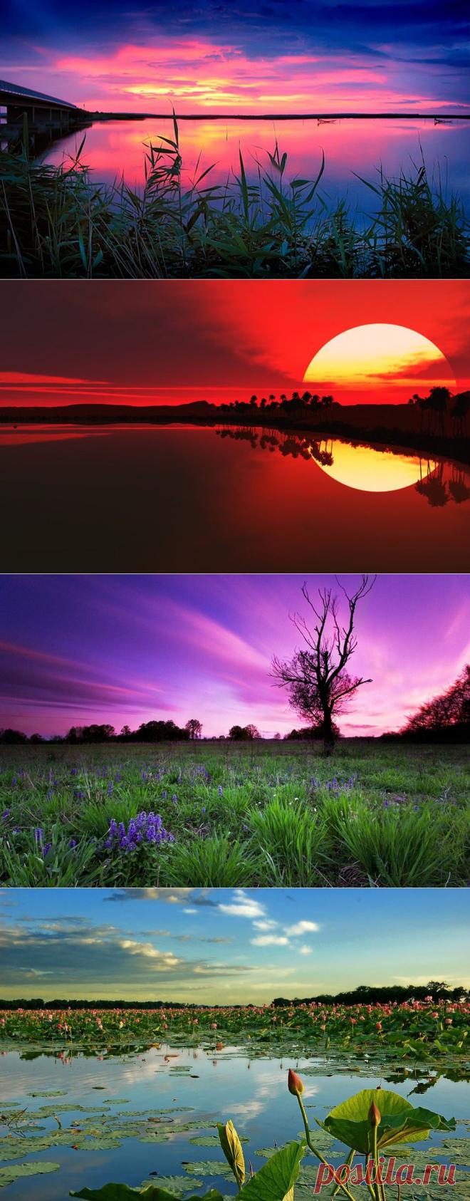 В гармонии с природой!.