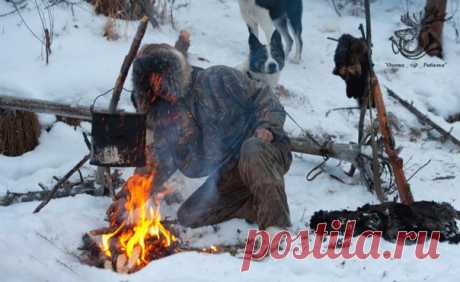 Неписаные правила охотника 1. Ни в коем случае не добивай подранка ружьем: можно расколоть приклад, и есть риск выстрела из второго ствола, если там есть патрон. 2. Сбил птицу над зарослями - ни в коем случае не отводи глаз от места падения: потеряешь добычу. 3. Упал - проверь стволы: грязь в канале ствола - его разрыв при выстреле. 4. На ходовой охоте носи сумку, добыча в руках мешает стрелять. 5. Если видишь, что птица падает подранком в заросли, добивай вторым выстрелом в воздухе. 6. К…