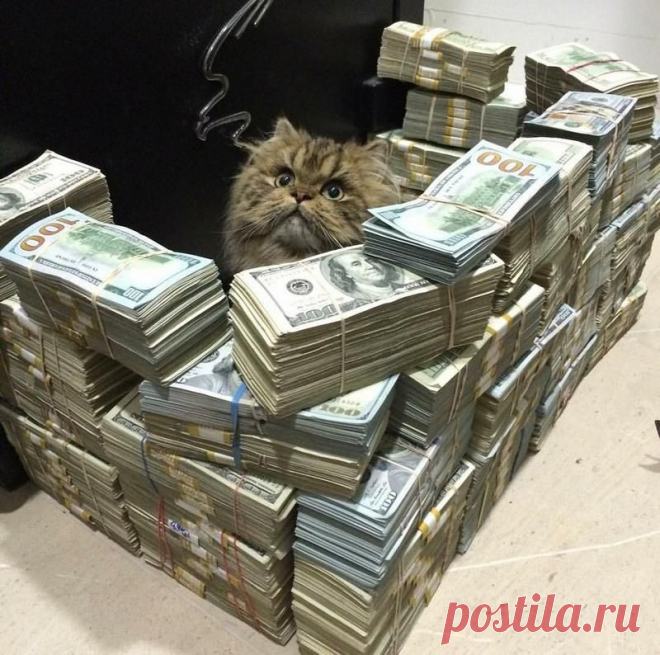 Большая порция отличного юмора;))