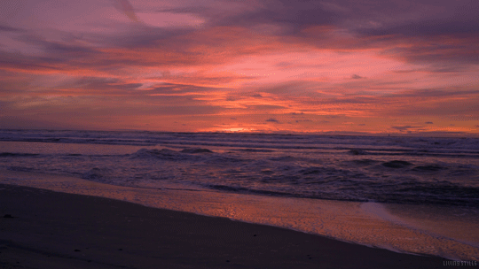 (4) Tumblr