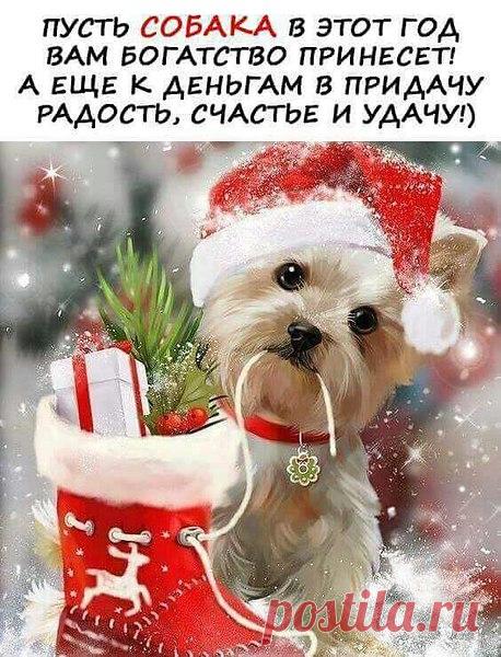 Интересные новости