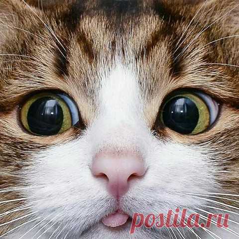 /