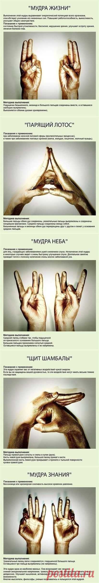 (10) Одноклассники