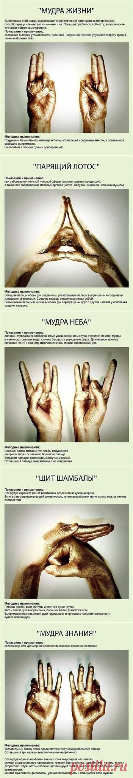 (10) Одноклассники