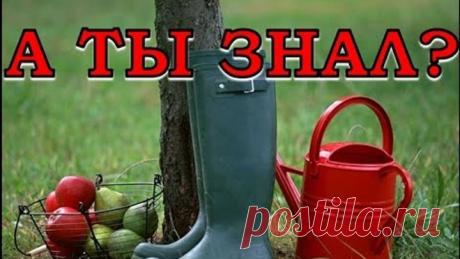 2 непрочитанных чата