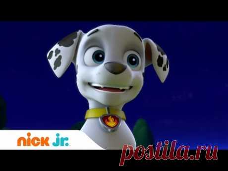 Щенячий патруль | 1 сезон 5 серия | Nick Jr. Россия
