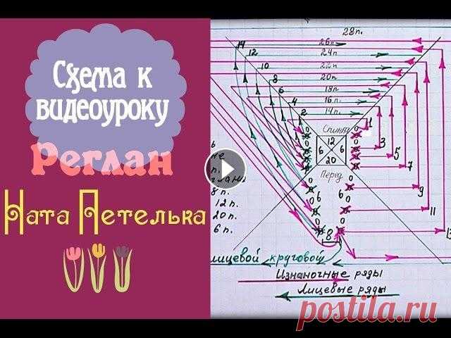 Схема к видеоуроку "Учимся вязать реглан сверху спицами". Схема последовательного вязания рядов и присоединения петель рукавов и выемки горловины....