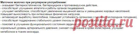 Что такое маточное молочко пчёл? » Интернет магазин спортивного и фитнес-питания