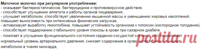 Что такое маточное молочко пчёл? » Интернет магазин спортивного и фитнес-питания