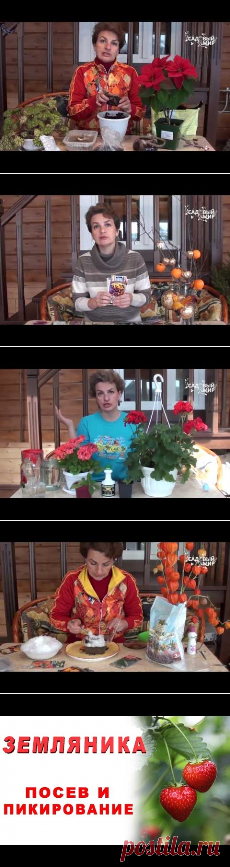 Что посеять в январе. Видео - YouTube