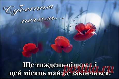 Грусть субботы.
Еще одна неделя ушла, и этот месяц почти закончился. 🌹