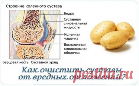 (24) Одноклассники