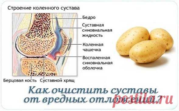 (24) Одноклассники