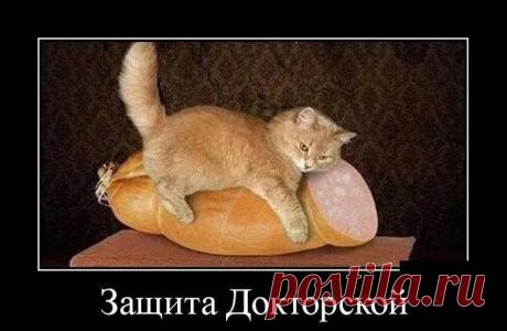 Демотиваторы / Приколы