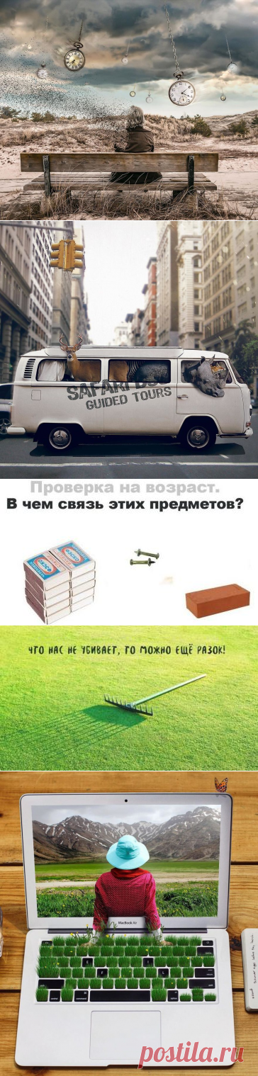 Поначалу я не понял, что это. Но, когда подошел ближе, моему восторгу не было предела… — creeker.ru