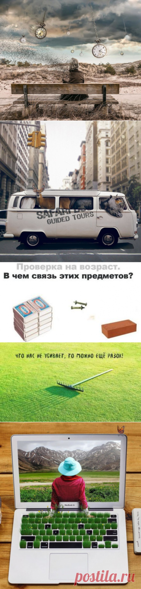 Поначалу я не понял, что это. Но, когда подошел ближе, моему восторгу не было предела… — creeker.ru